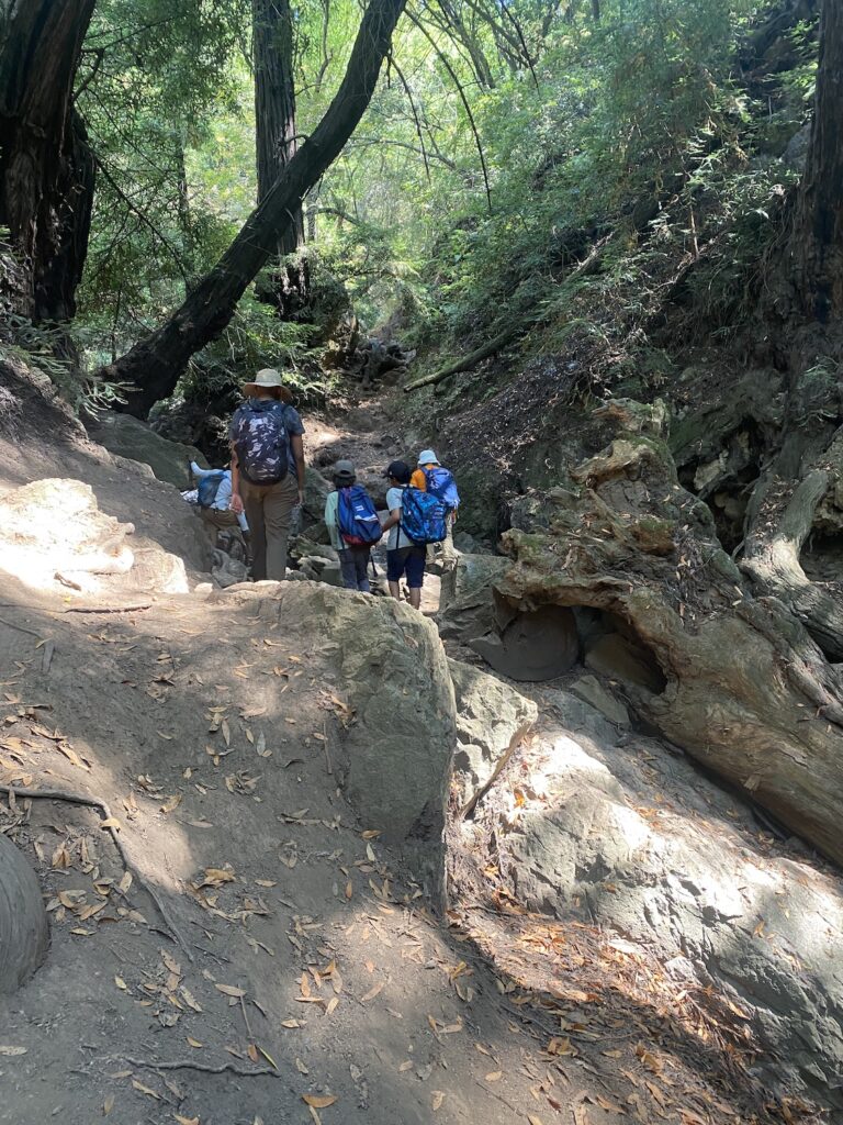 alameda waldorf activities hiking